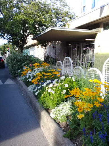 Nursery School Buffalo - Thumbnail