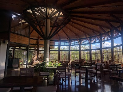 Photos of Rio Perdido