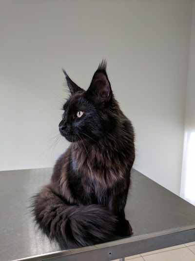 veterinary-care
