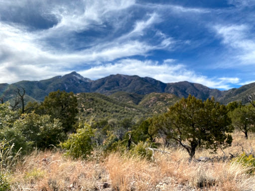 Gardner Canyon - Thumbnail