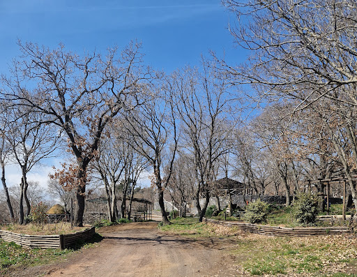 Parsifal Park - Thumbnail