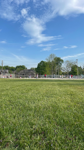 Trombley Fields - Visual
