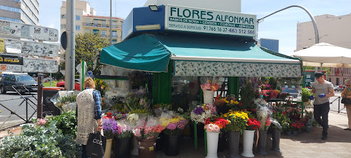 Flores alfonmar