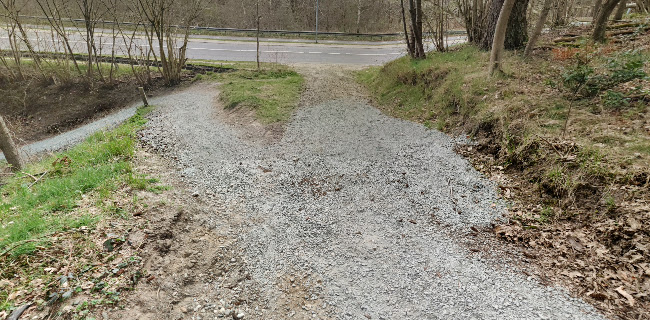 MTB spor Sønderskoven - Børkop