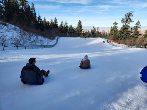Capulin Snow Play Site - United States