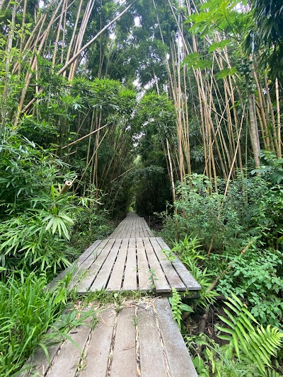 Waimoku Falls