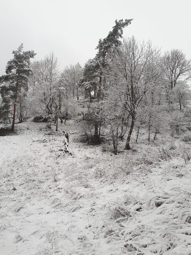 Oelknitzer Grund - Visual