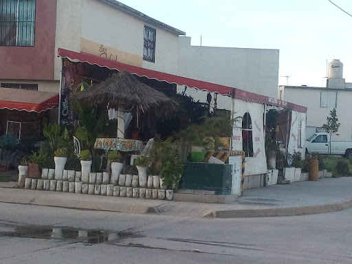 La Palapa Gus