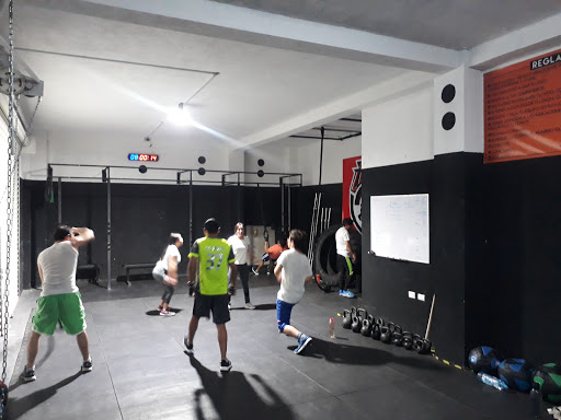 Ludus Crossfit - Thumbnail