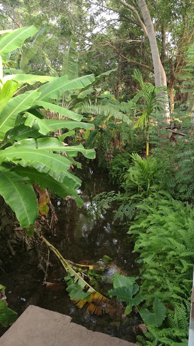 Photos of Lake Front Villa Minneriya