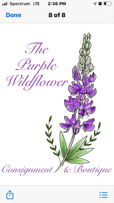 The Purple Wildflower