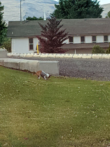 McGonagle Park - Thumbnail