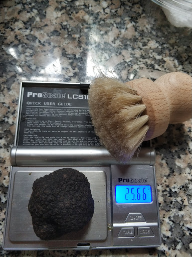 Funghi Farm Mallorca - Thumbnail
