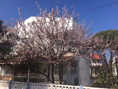 Photos of HOTEL GRAND HİTİT&RESTAURANT