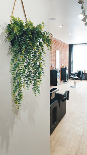 Midtown Studio - Visual