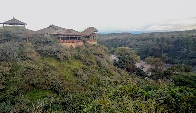 Photos of Awash National Park