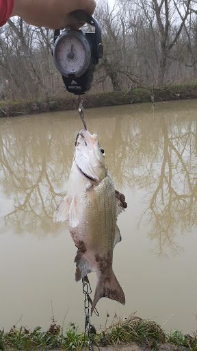 Rowlett Creek - Thumbnail