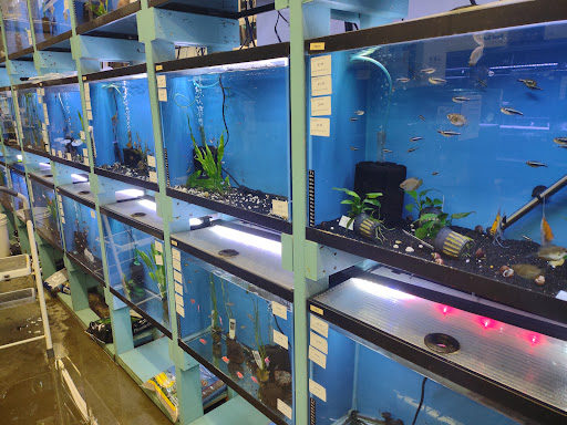 Reef Life Aquariums - Thumbnail
