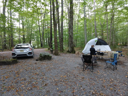 Bear Heaven Recreation Area - Thumbnail