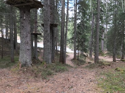 Photos of Waldseilgarten Dam&uuml;ls