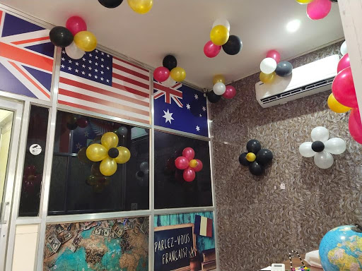 Gallery image 508