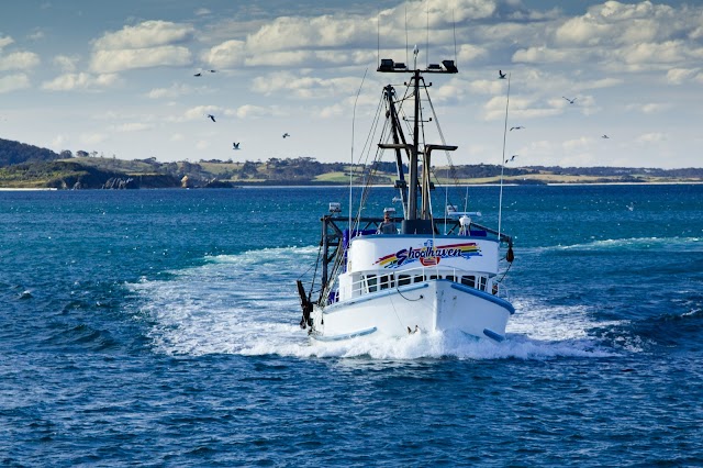 Bermagui Fishermen's Wharf