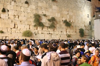 Photos of טיולי דורון