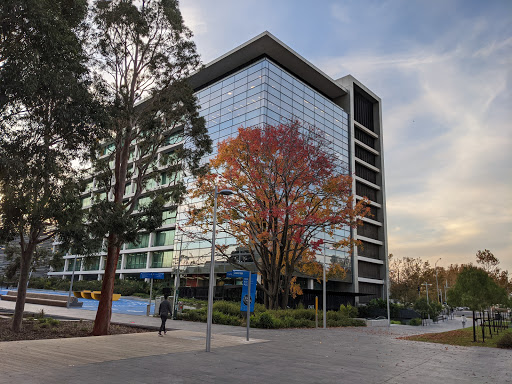Monash University Caulfield Campus Gallery - Australia