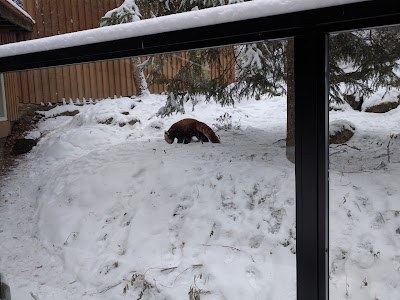 Photos of &Auml;ht&auml;ri Zoo