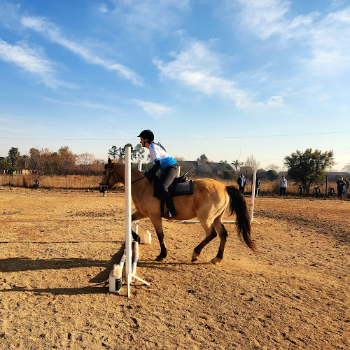 Step It Up Horse Riding Therapy