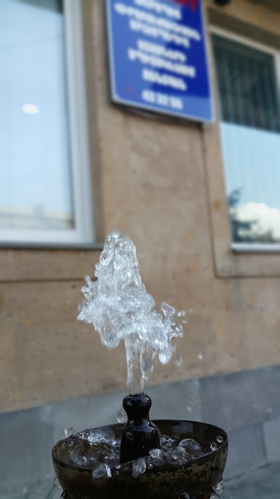 Photos of ARTDENT