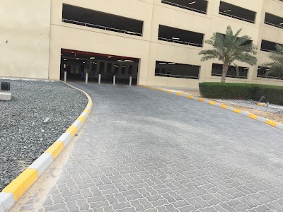 Photos of Dalma Mall Blue Parking