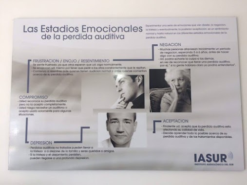 Instituto Audiológico del Sur, Author: Instituto Audiologico del Sur