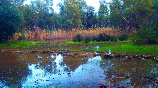 Area S.I.C. Palude d'Imbutillo - Thumbnail