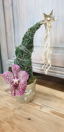 Top Fleurs - Thumbnail