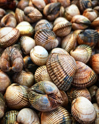 Photo n°2 de Huîtres Morvan - Halles de Concarneau à Concarneau (Élevage de fruits de mer)