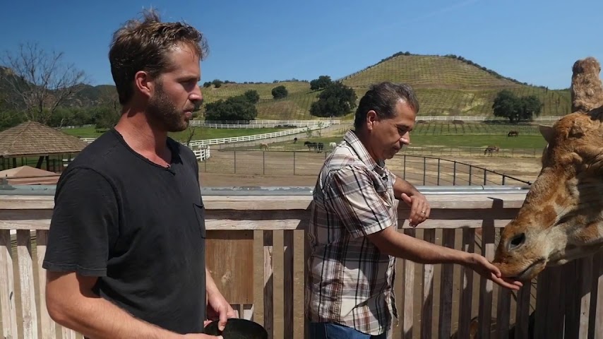 Malibu Wine Hikes by null