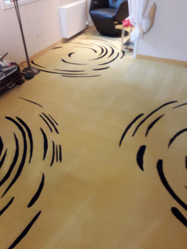 Tolsteam carpet cleaning - Thumbnail