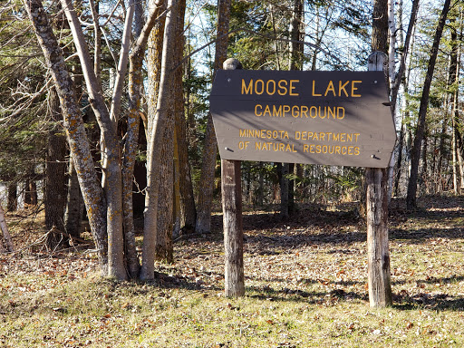 Moose Lake Campground Gallery - United States
