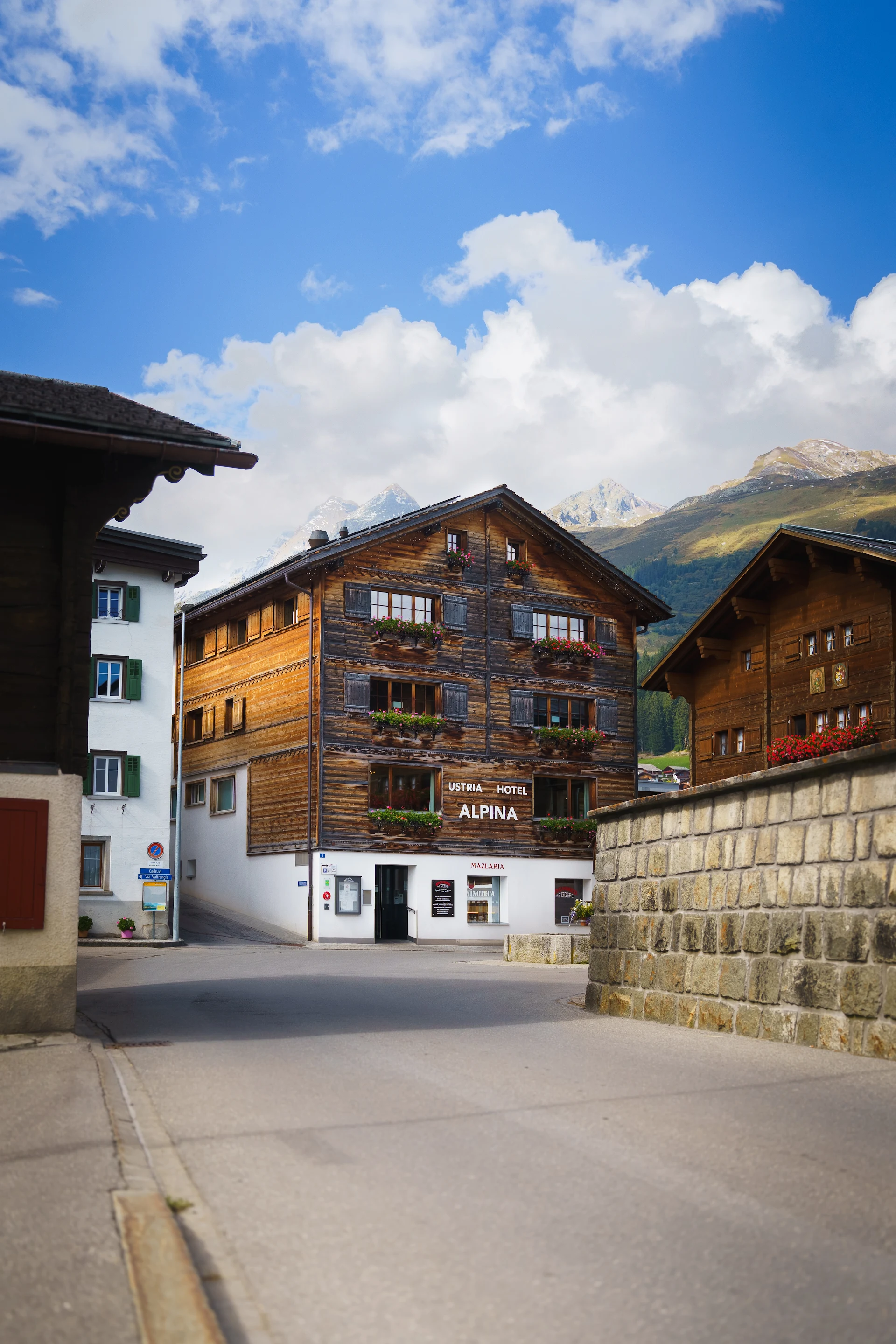 Hotel Alpina