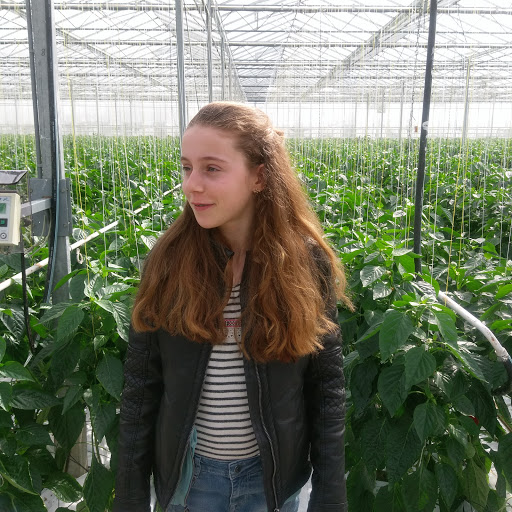 Den Ouden Paprika - Thumbnail
