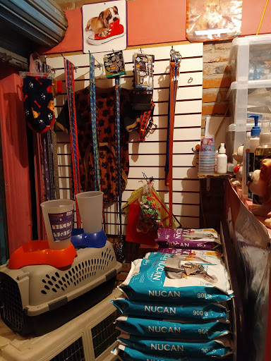 Bertha Pet's - Visual
