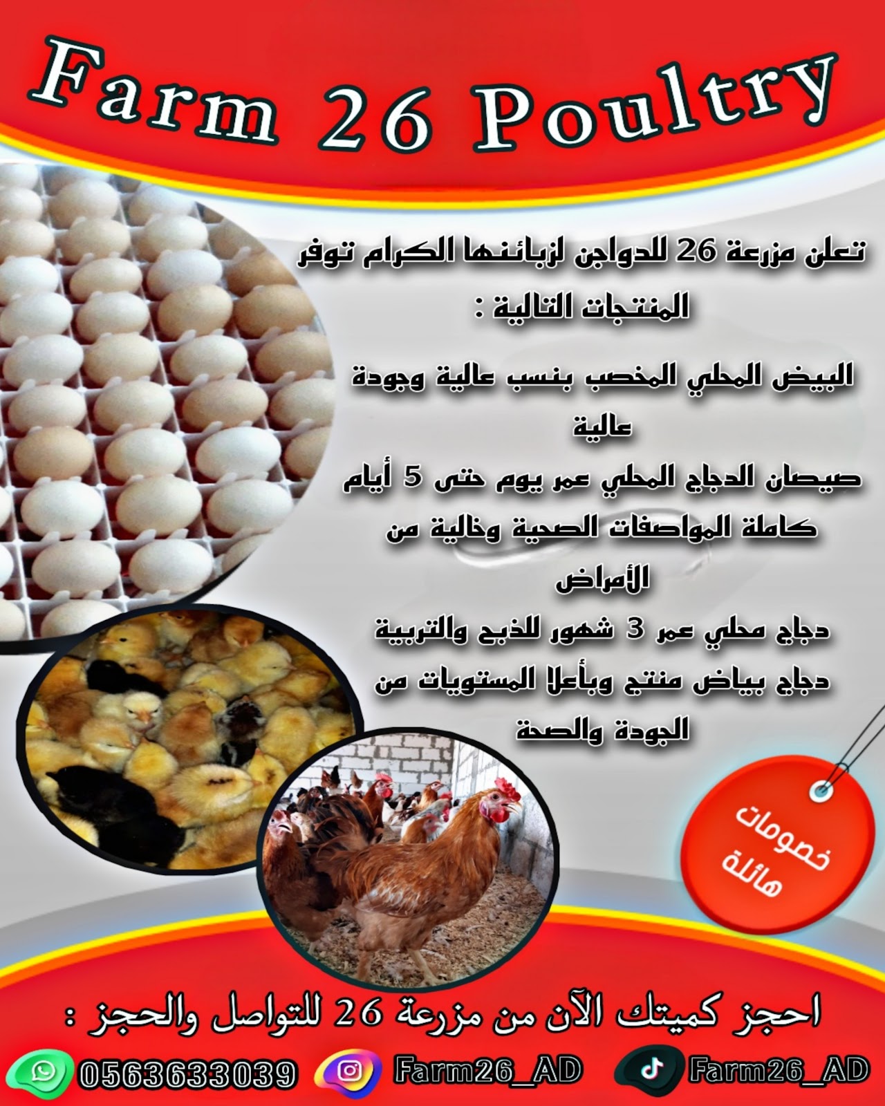 Poultry Farm 26 - مزرعة 26 للدواجن - صورة 2