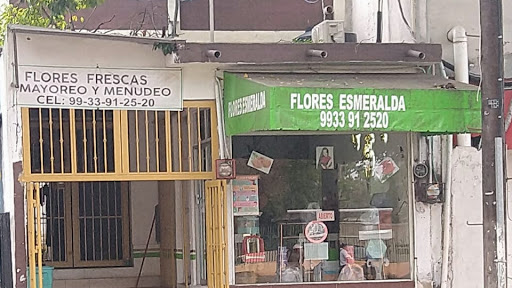FLORES ESMERALDA *BODEGA*