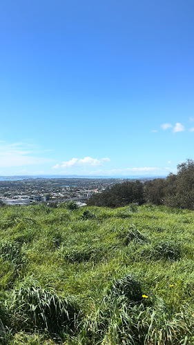 Comments and reviews of Auckland City Tours