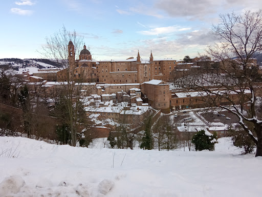 urbino free park and photo shot - Thumbnail