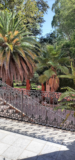 Museo de Conchita Cabrera de Armida - Thumbnail