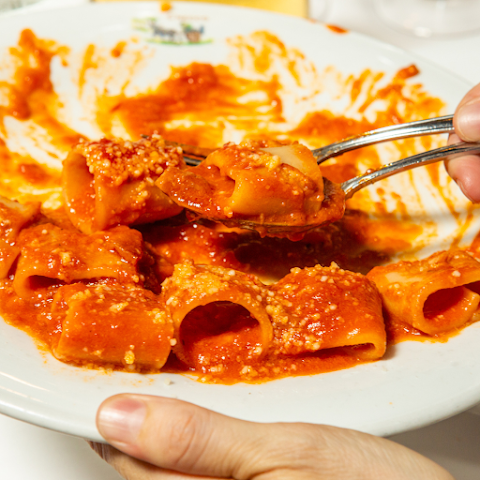 Checco Er Carettiere by null