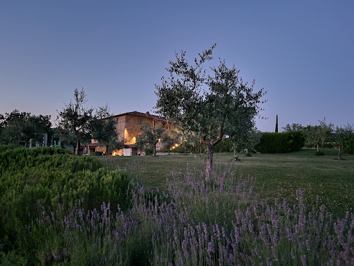 Villa Pianvecchio by Tenuta di Carleone - Thumbnail