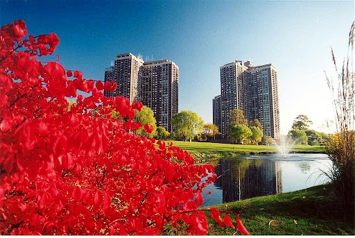 Linda D. Rappaport - Akam Sales at North Shore Towers - Thumbnail